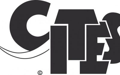 Speciesism and the Wildlife Trade: Who gets Listed, Downlisted and Uplisted in CITES?