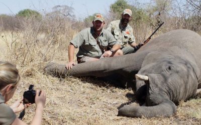 Trophy hunting incentivises killing of endangered animals, warns Zambian environmentalist