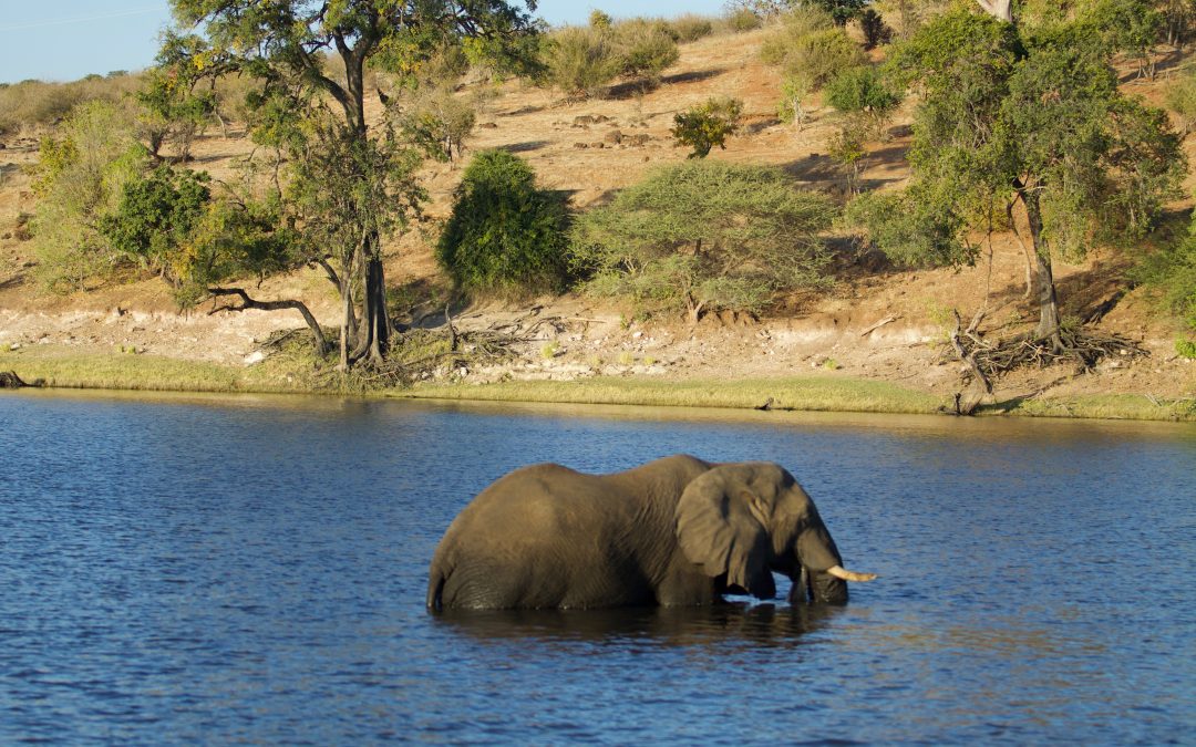 Petition: Keep the oil industry out of Africa’s natural treasures!