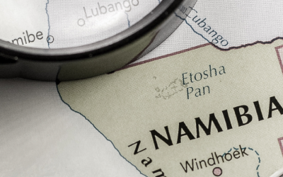Investigation into Namibia’s Sale of Live Free-Roaming Elephants (Loxodonta africana)