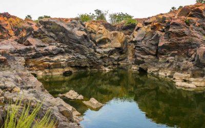 Press Release: Incident in W National Park (Benin)
