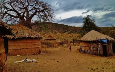 Press Release: Tanzanian Government prepares to evict thousands of Indigenous Maasai residents to make space for trophy hunting and elite tourism