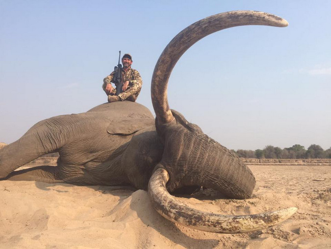 International elephant corridor put at risk by killing of Botswana’s largest tuskers
