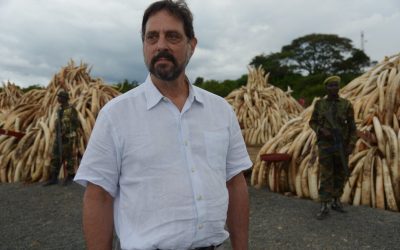 Game changer: How Sam Wasser became the ivory detective